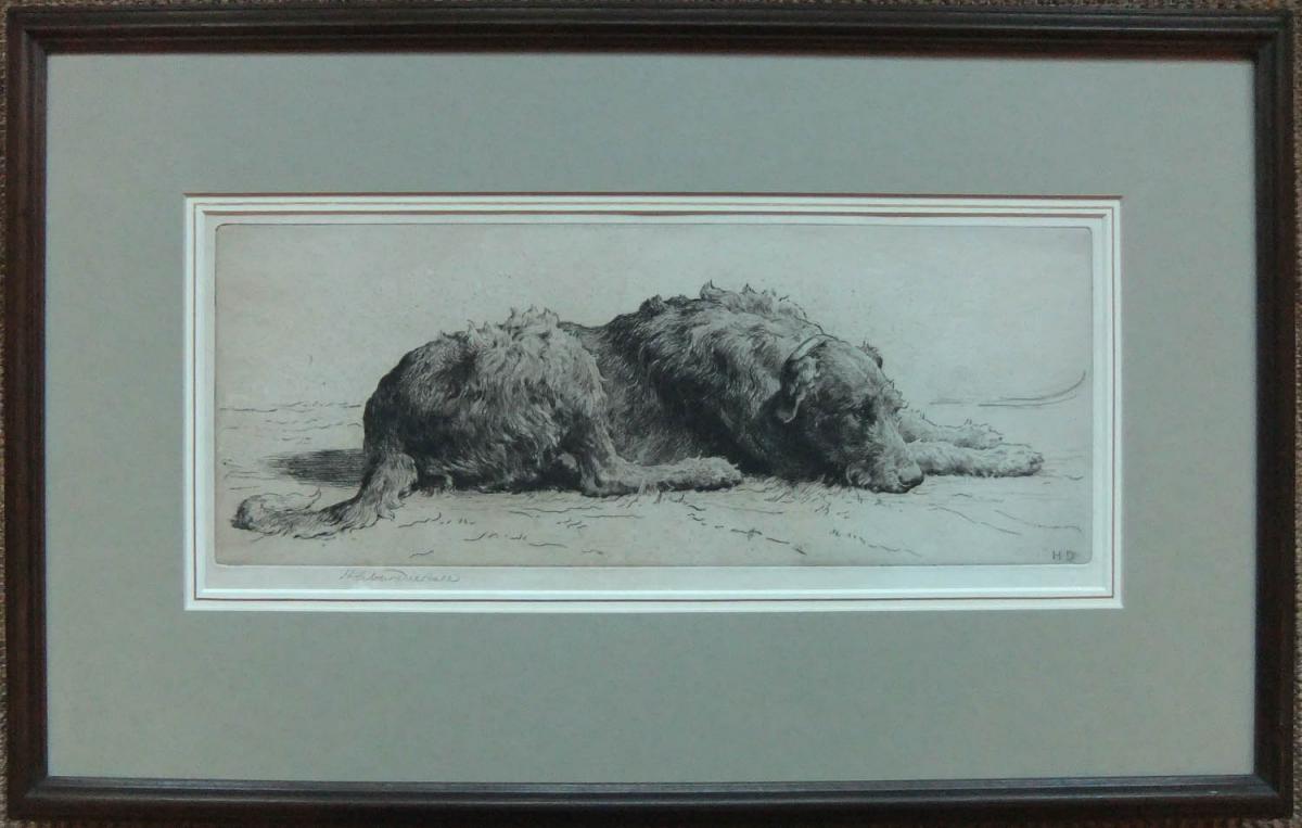 Herbert Dicksee dog Deerhound Irish Wolfhound etching