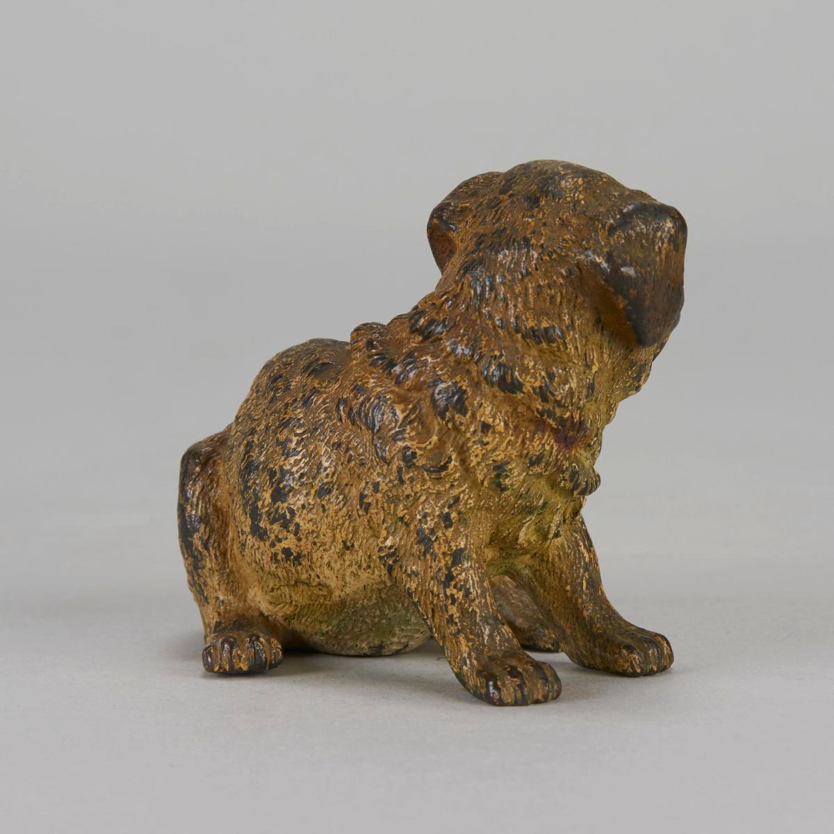 “Seated Puppy” Vienna Bronze - circa 1900