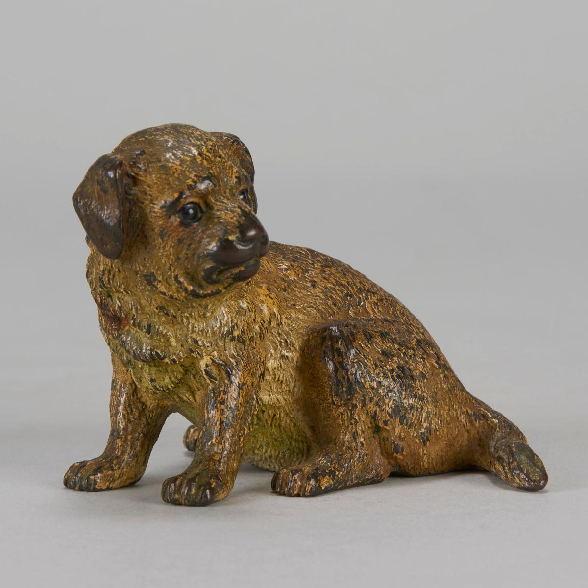“Seated Puppy” Vienna Bronze - circa 1900