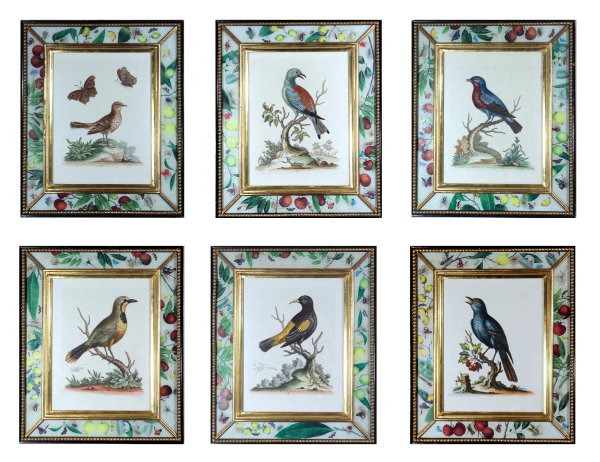 George Edwards Engravings of Birds- A Set of Six
