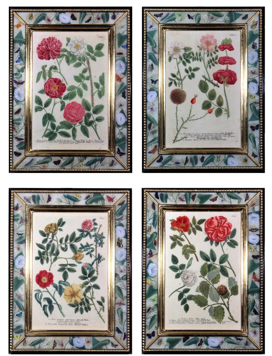 Johann Wilhelm Weinmann Prints of Roses with Decoupage Frames- Set of Four engraved by Johann Jacob Haid