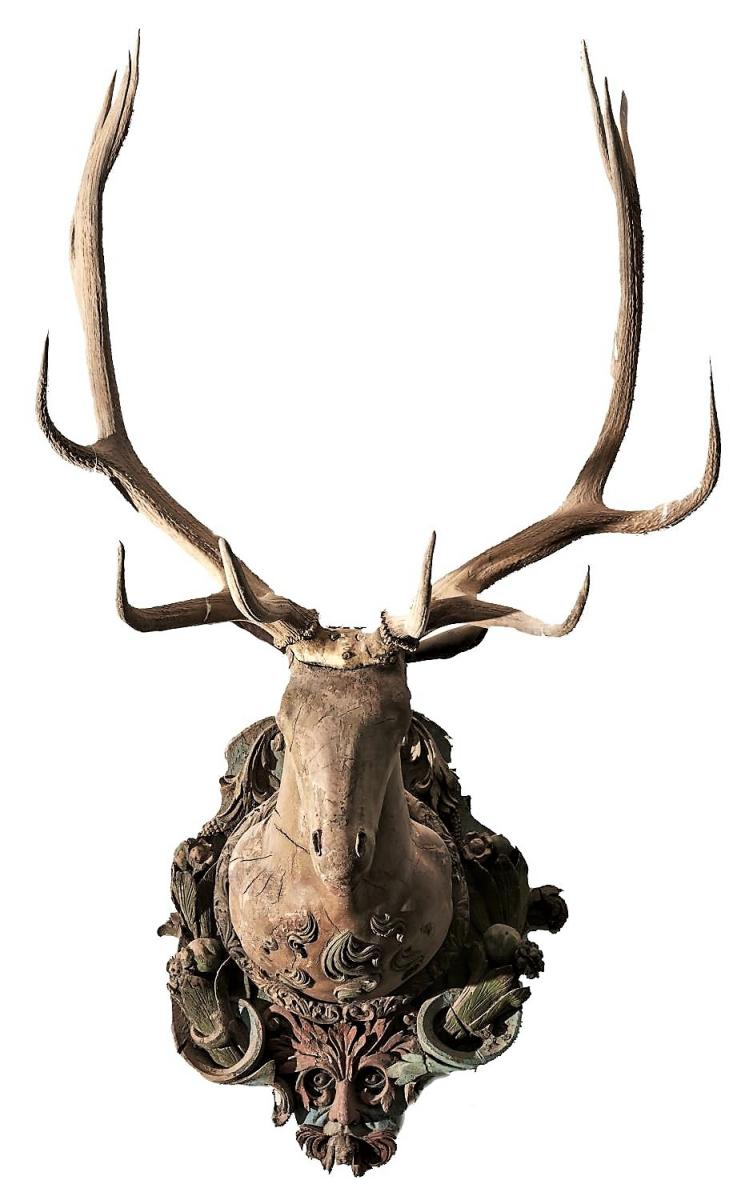Carved Oak and Polychrome Stag's Head