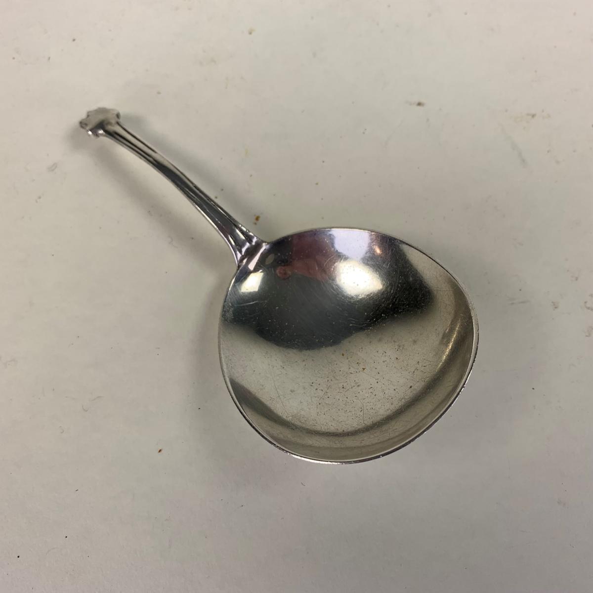 Silver Tea Caddy Spoon by James Deakin