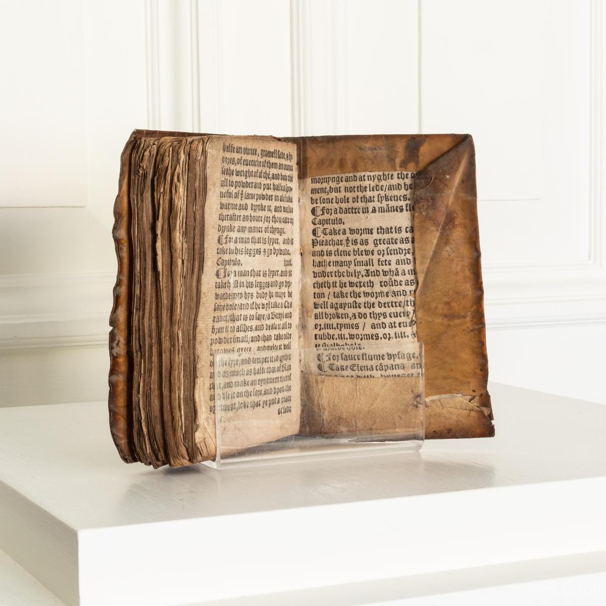 A 16th century vellum bound book of herbal remedies