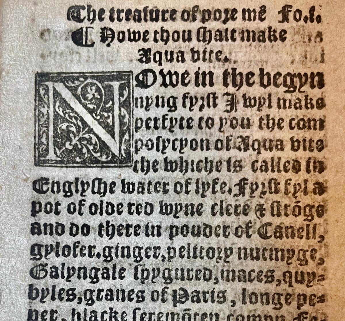 A 16th century vellum bound book of herbal remedies