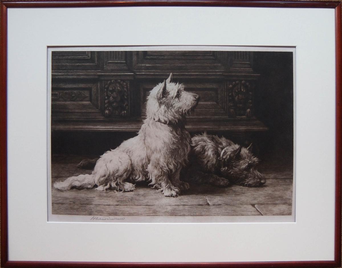 Herbert Dicksee West Highland White Terrier Scottish Terrier dog etching Footsteps old print