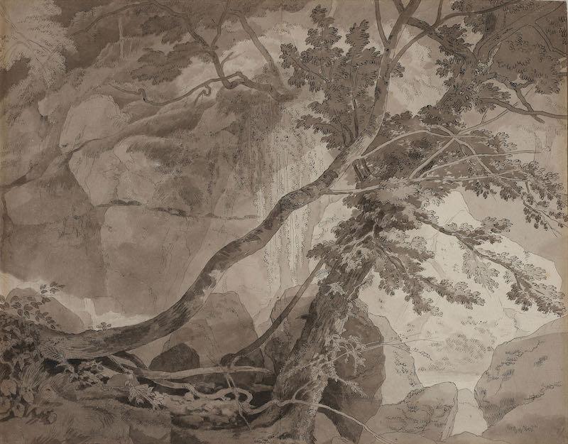 John White Abbott (1763-1851), Trees in a rocky landscape, probably Peamore near Exeter, Devon