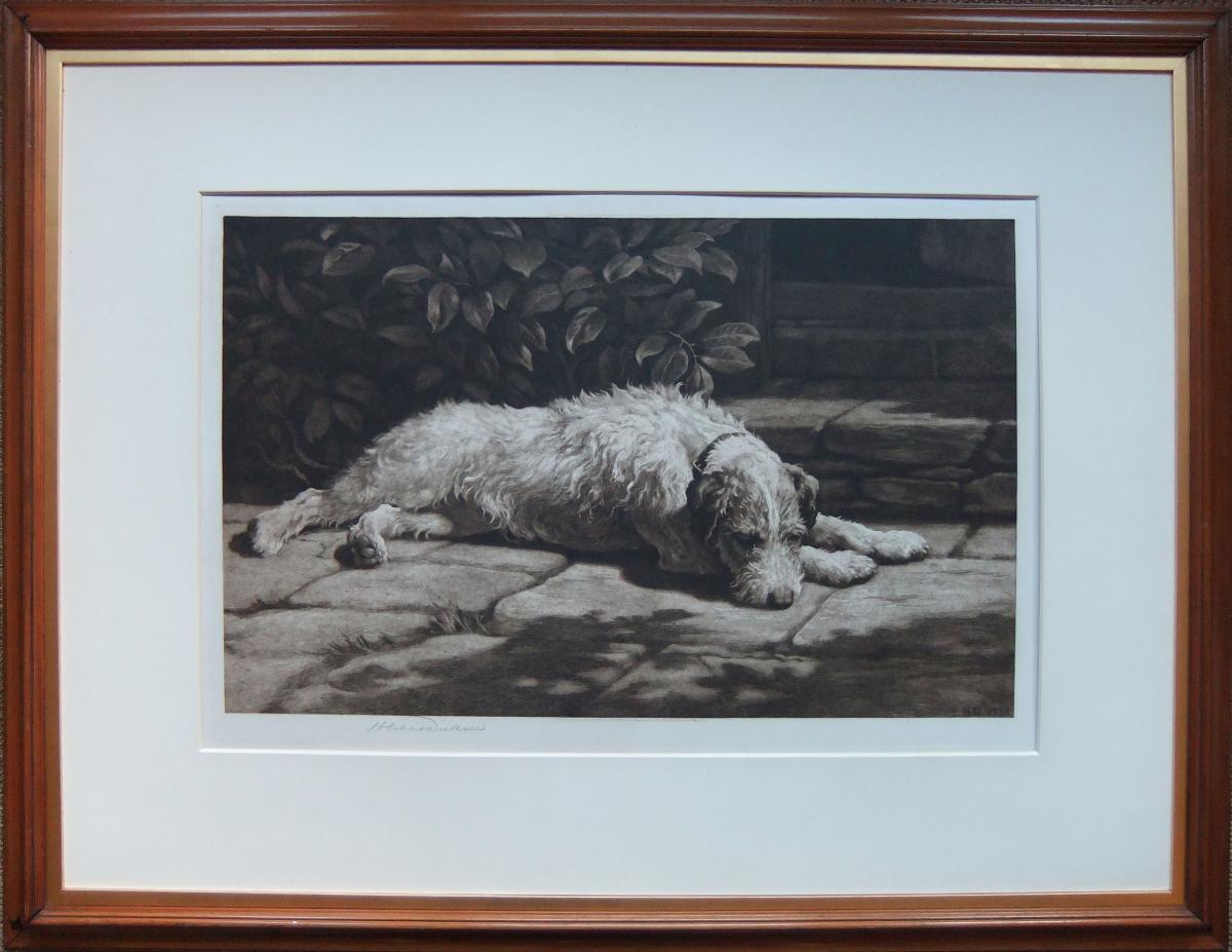 Herbert Dicksee dog print engraving sporting