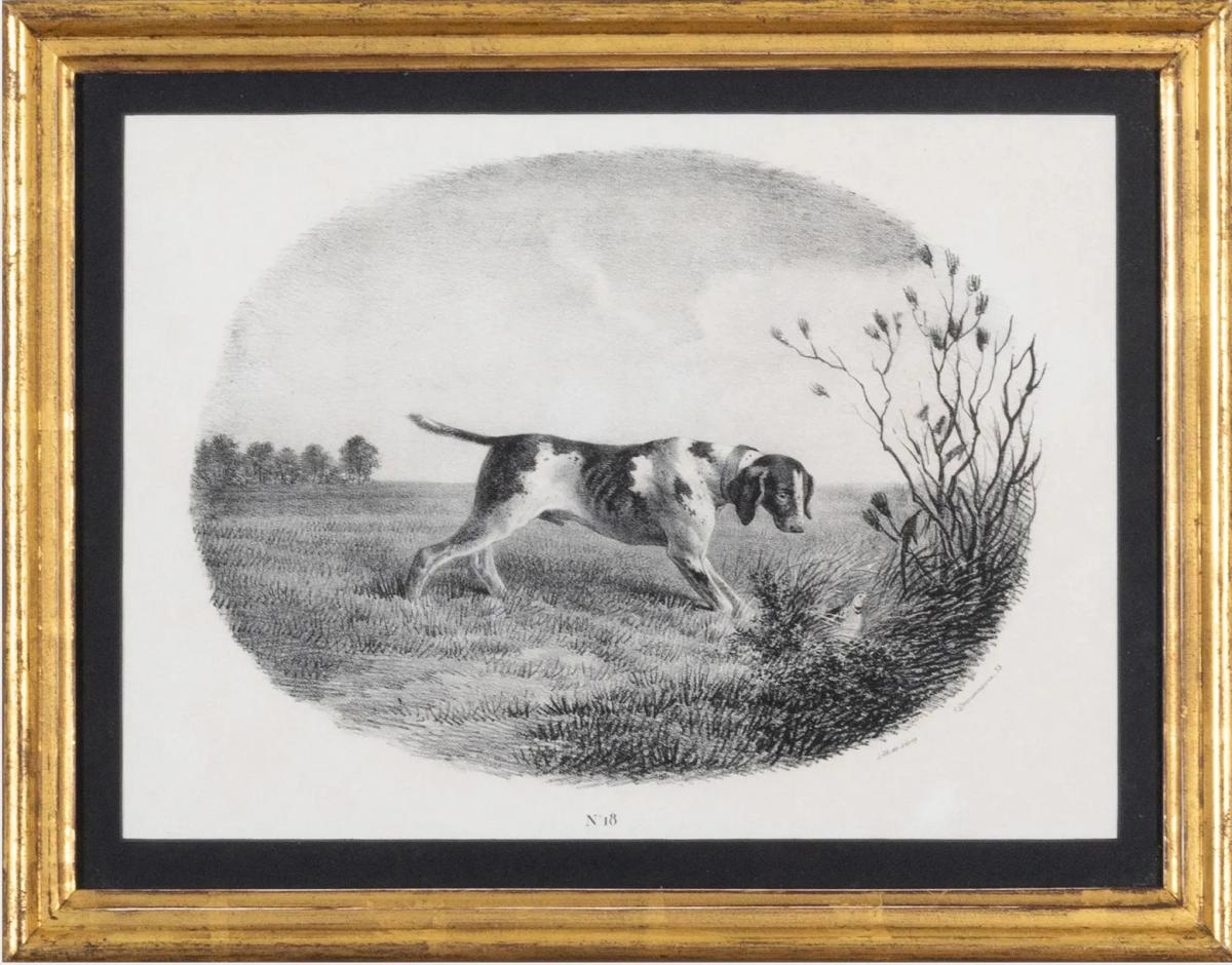 Black & White Engravings of Hunting Dogs, Set of Four Published by Ligny & Dupaix, Paris, Early 19th Century.