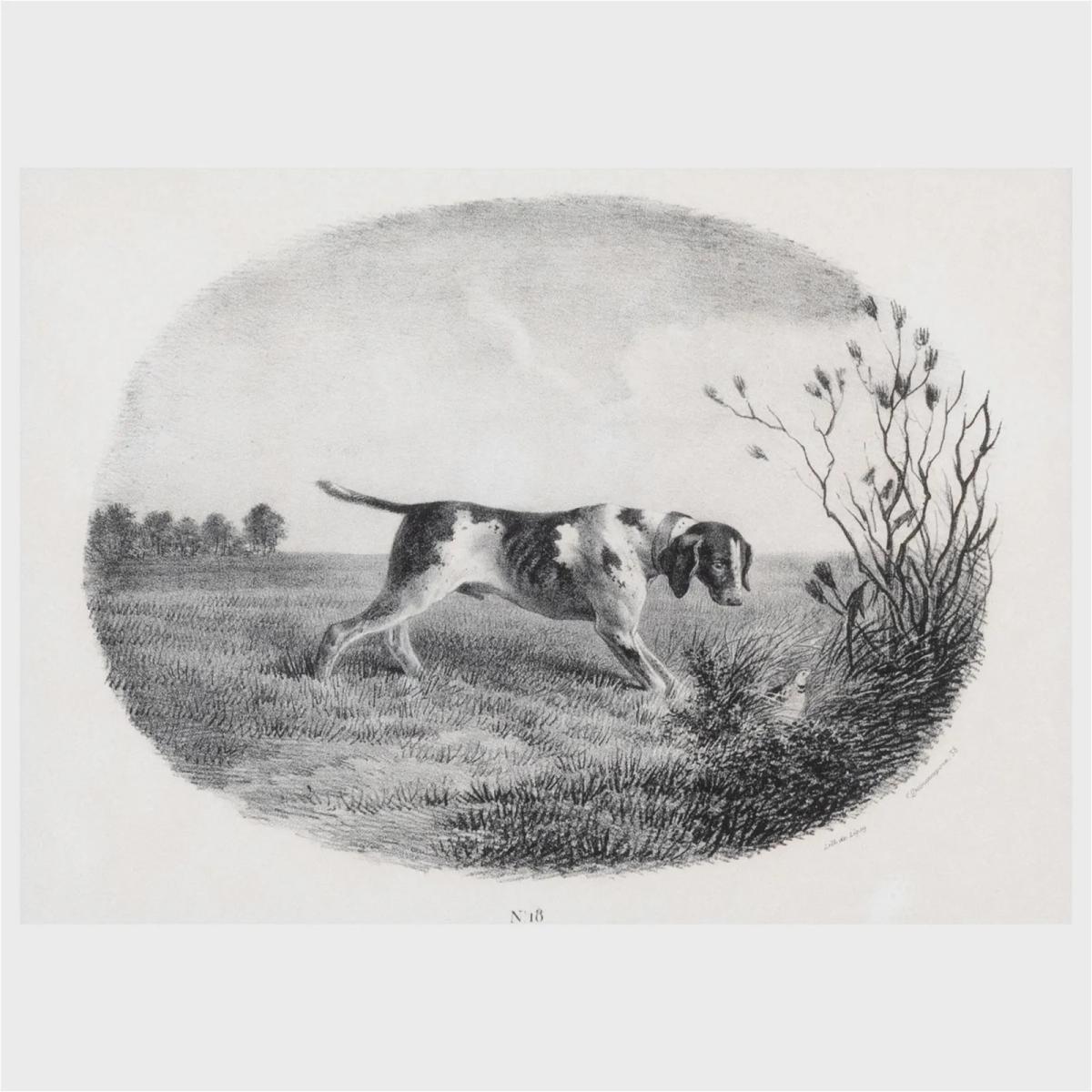 Black and White Engravings of Hunting Dogs