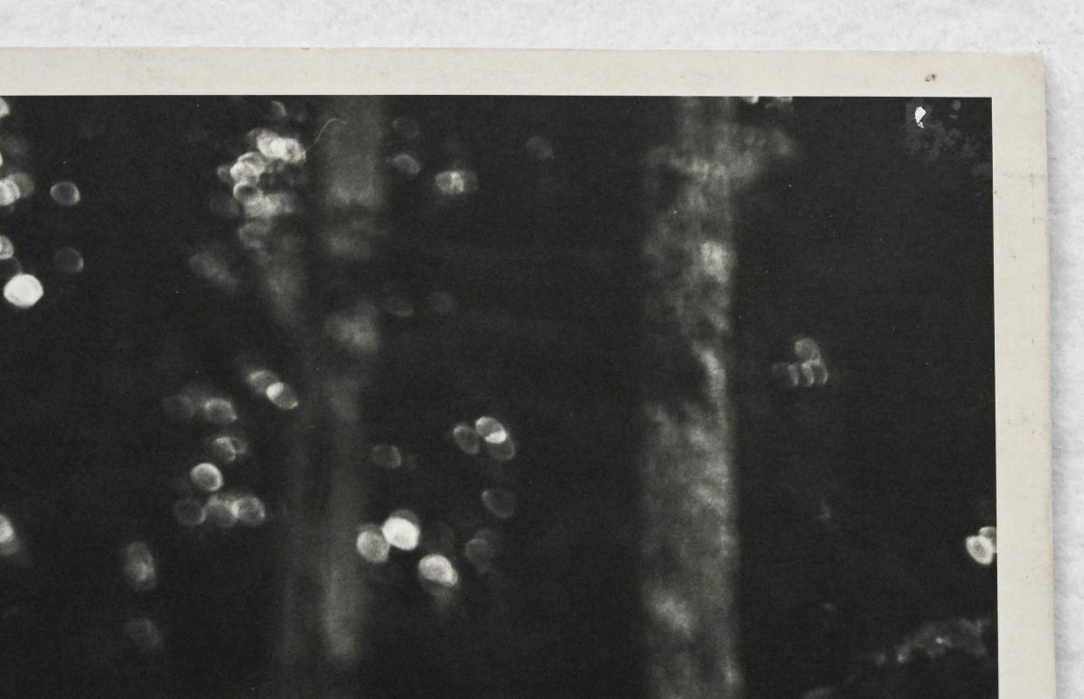 Original photograph of model in the woods by Bruce Weber 3