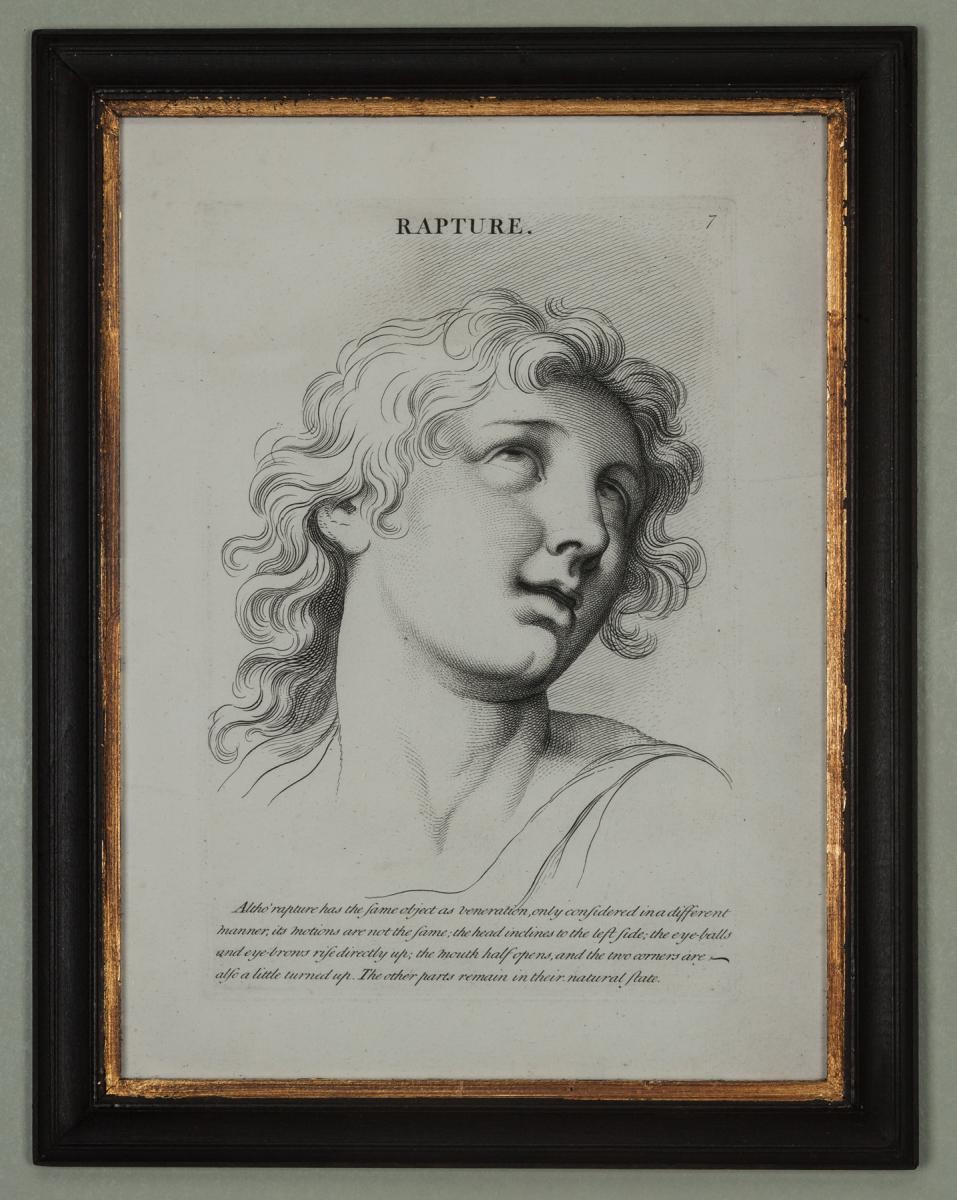 Heads Representing the Various Passions of the Soul by Le Brun