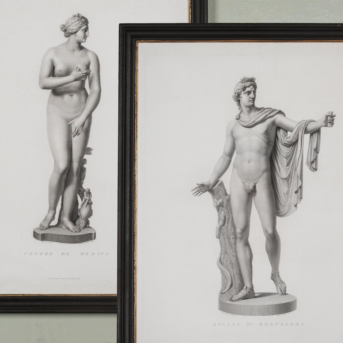 Belvedere Apollo and Medici Venus