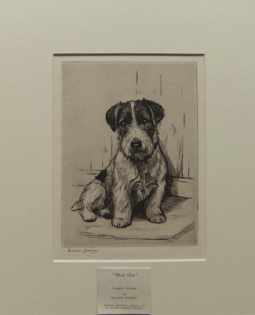 Marion Harvey "Shut Out" original etching of a pup