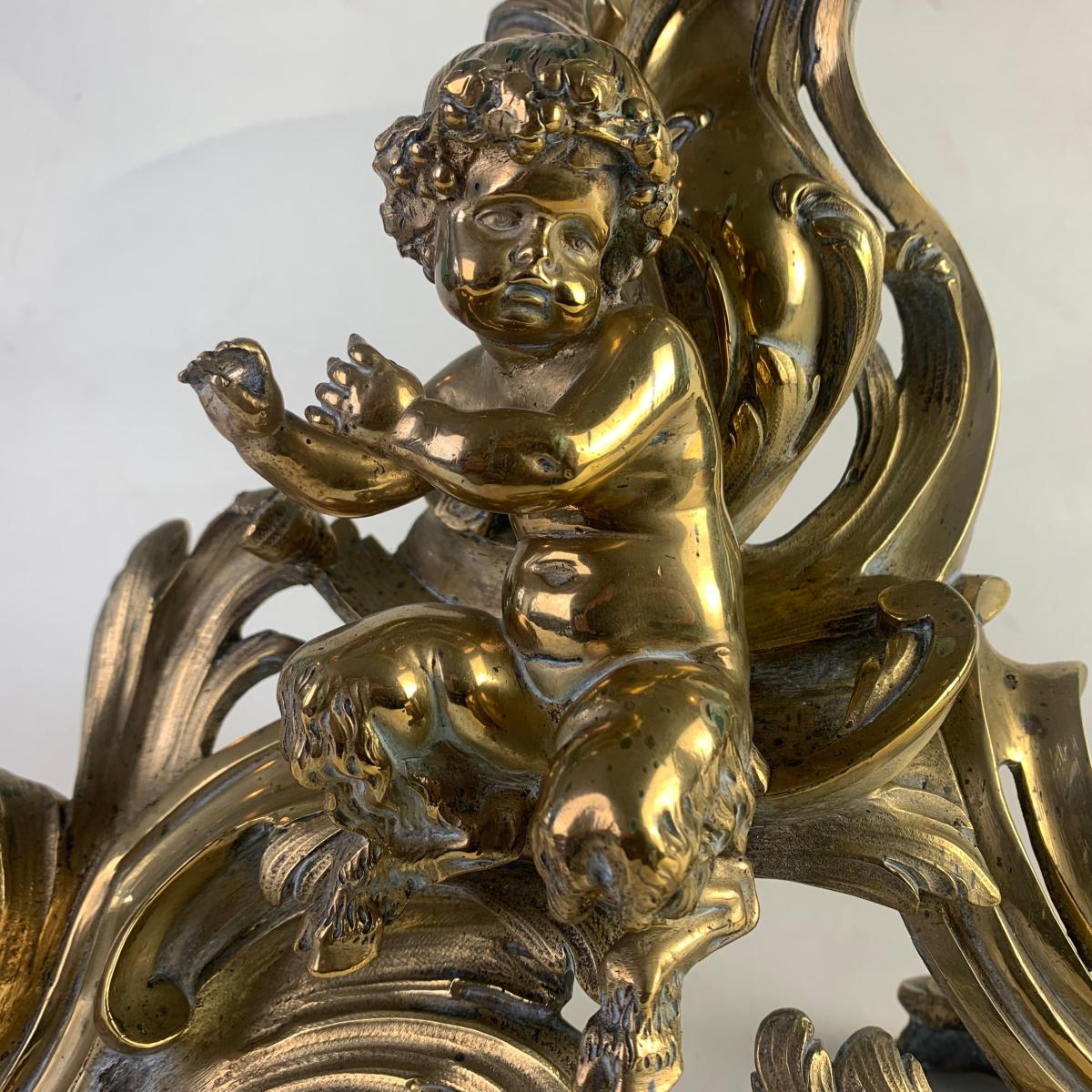 gilded brass Chenets / Fire Dogs