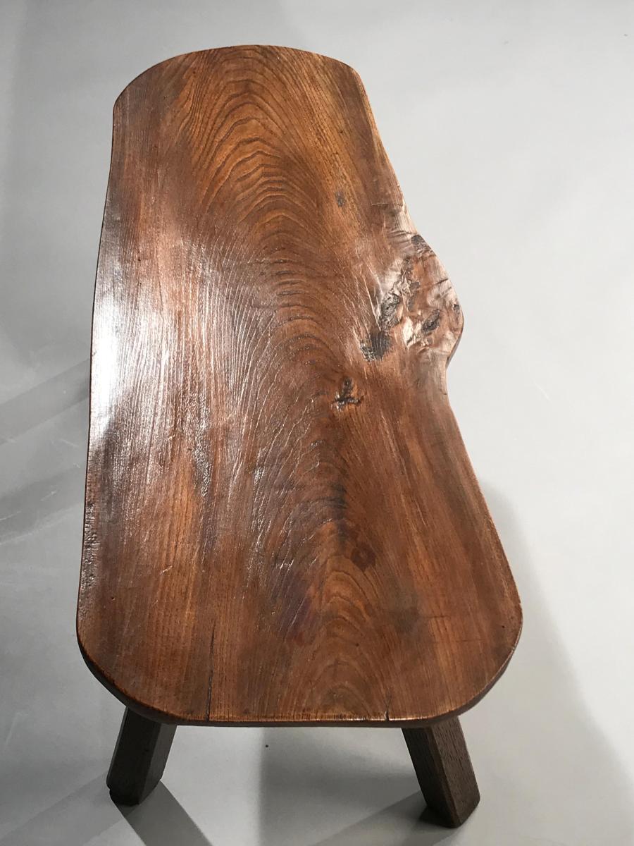 Sculptural Elm Low Table