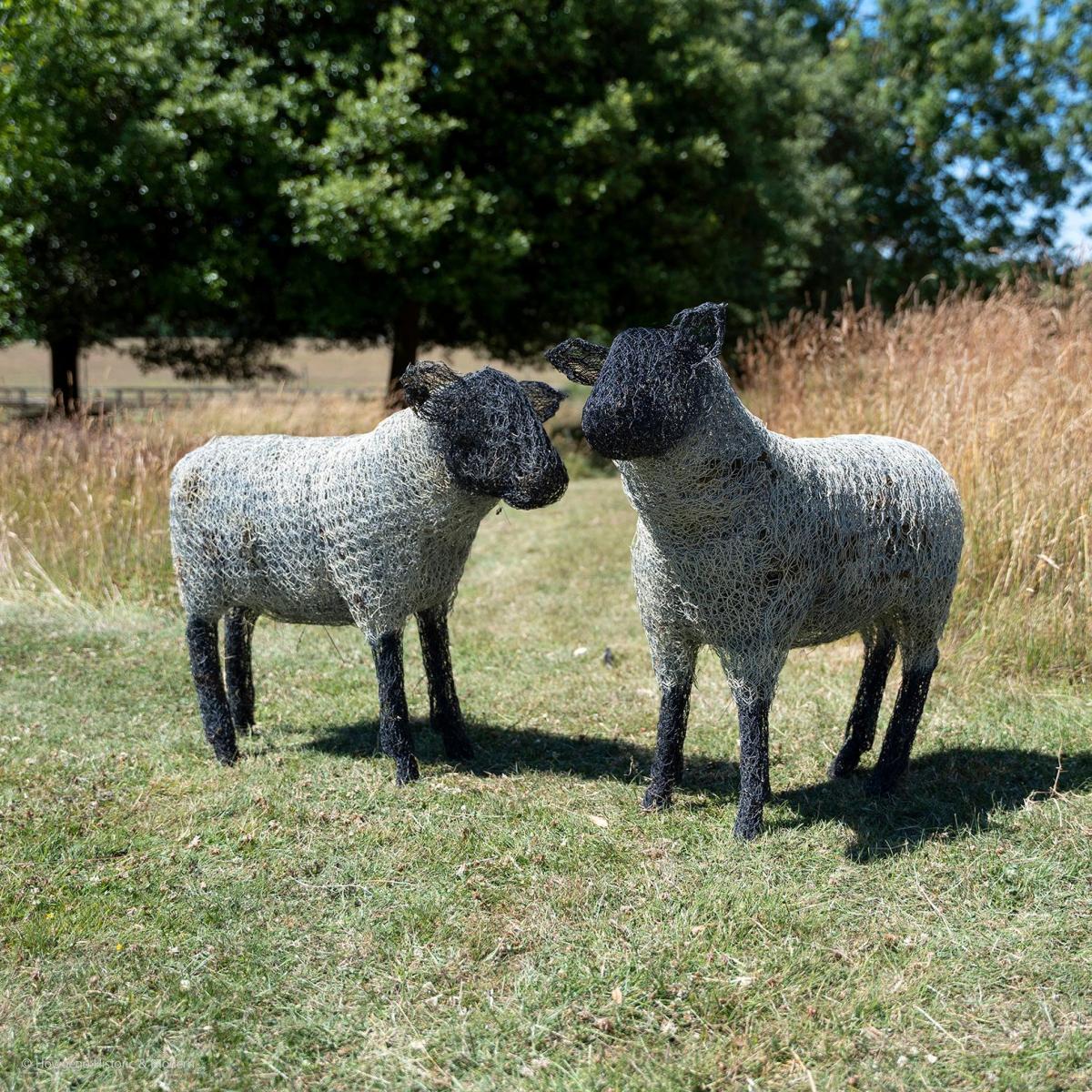Contemporary Wirework Sheep Sculptures