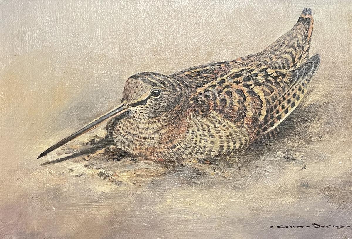 20th Century Oil on Canvas Painting entitled "Woodcock" by Colin Burns