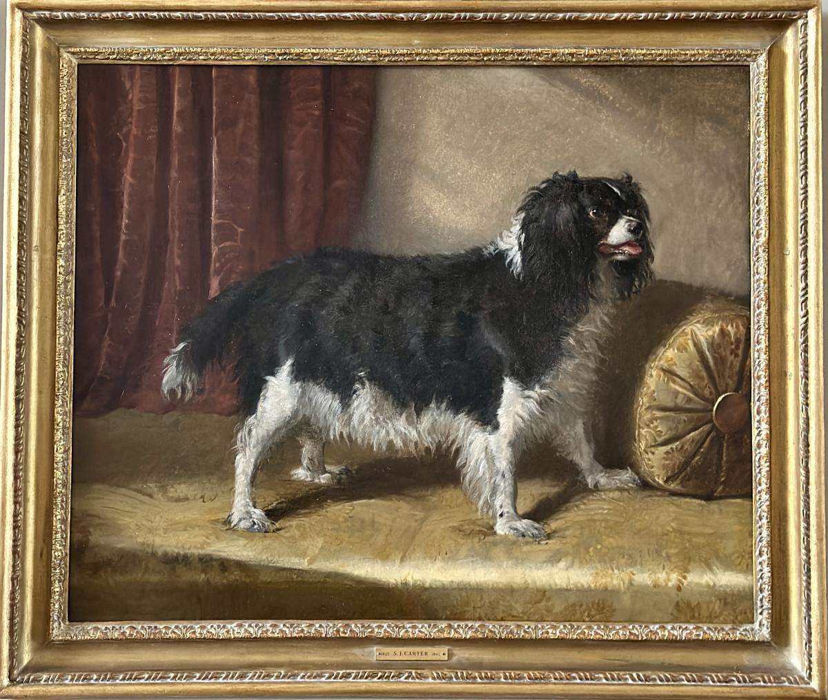 A black and white spaniel by Samuel John Carter