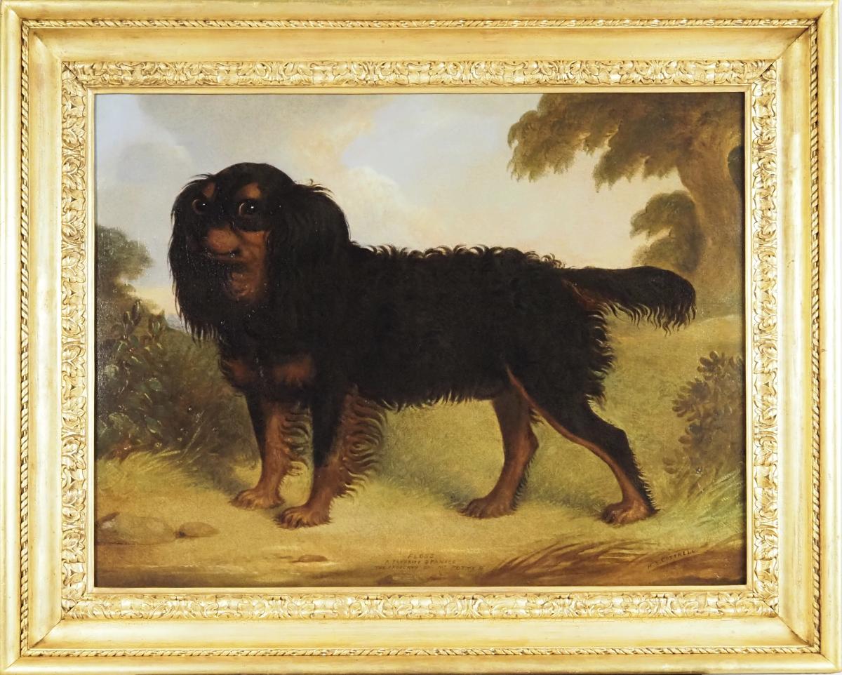 Floss, a favourite spaniel, property of Ms Potter by Henry S. Cottrell