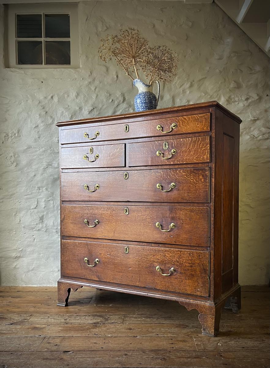 Tall Georgian Welsh oak chest of drawers