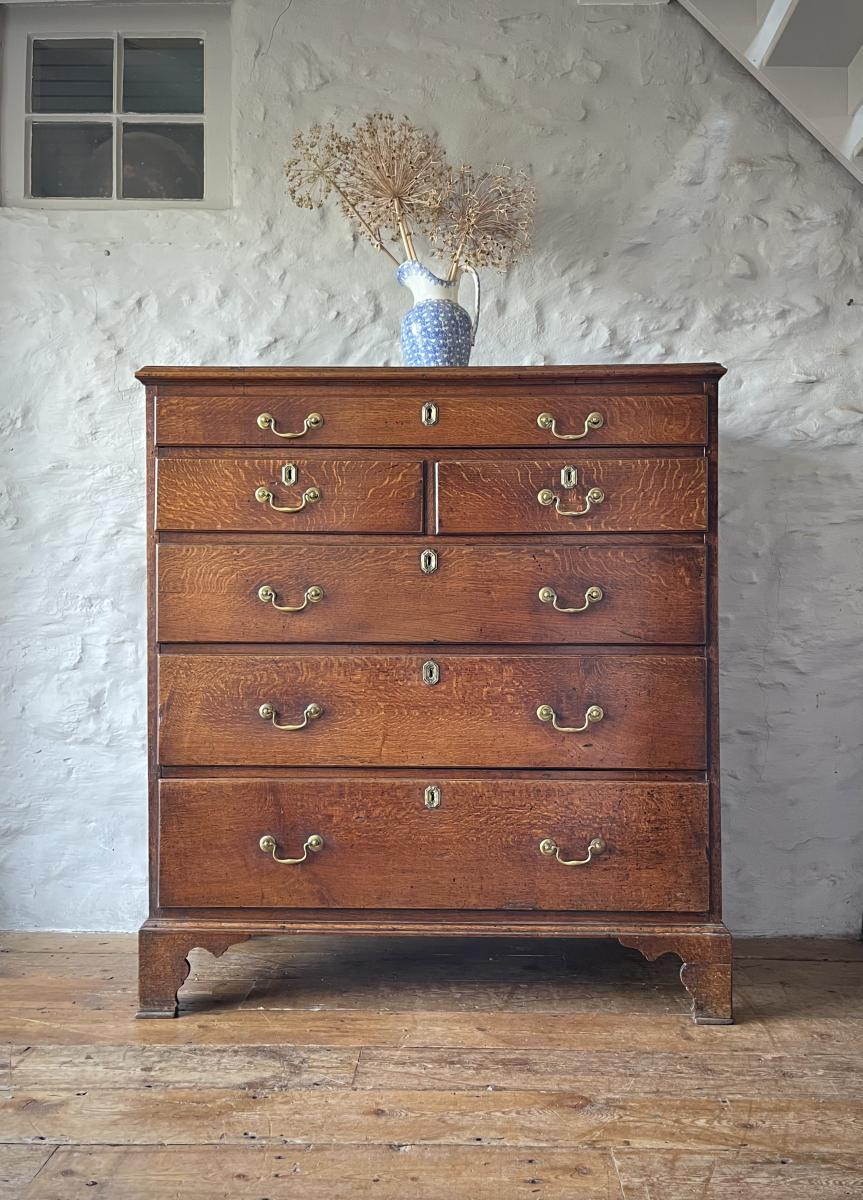 Tall Georgian Welsh oak chest of drawers
