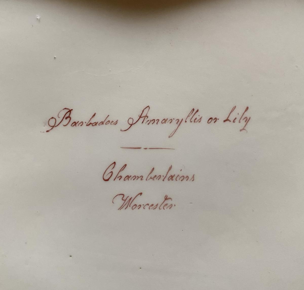Chamberlains Worcester botanical dish ‘Amaryllis’, circa 1810