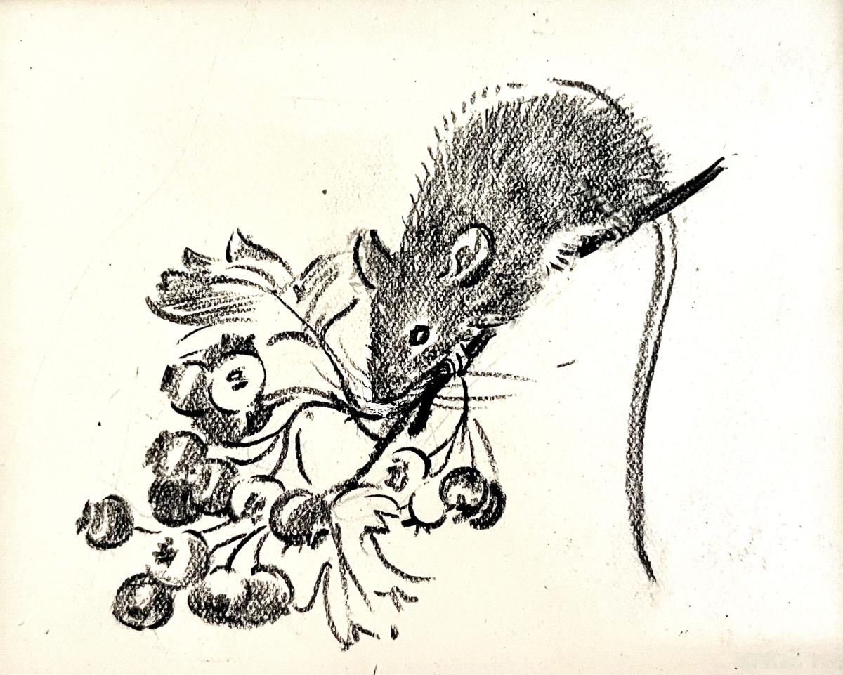 Eileen Soper - 20th Century Pencil Illustration of a Mouse and Berries
