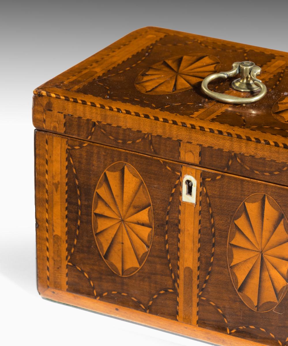 Harewood And Marquetry Inlaid Tea Caddy