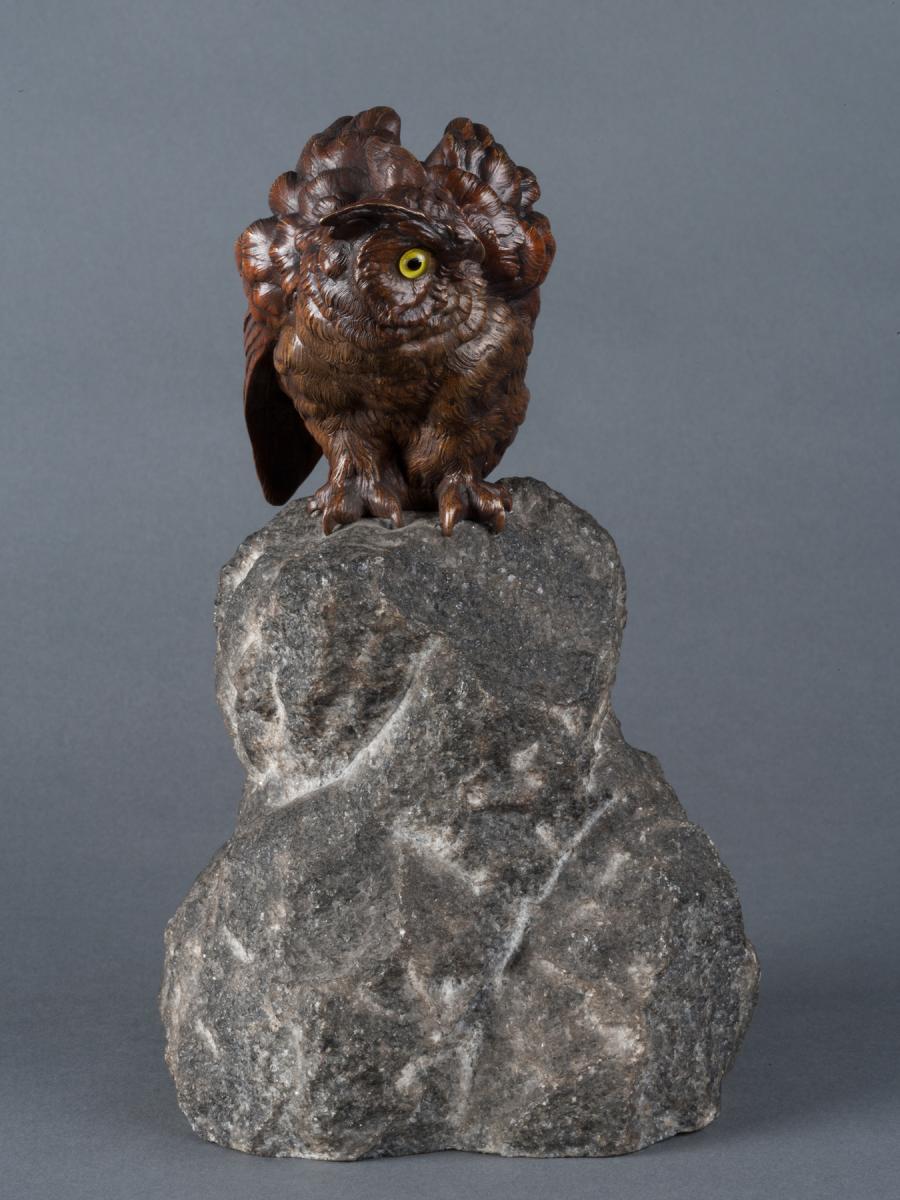 Scops Owl by Franz Bergmann