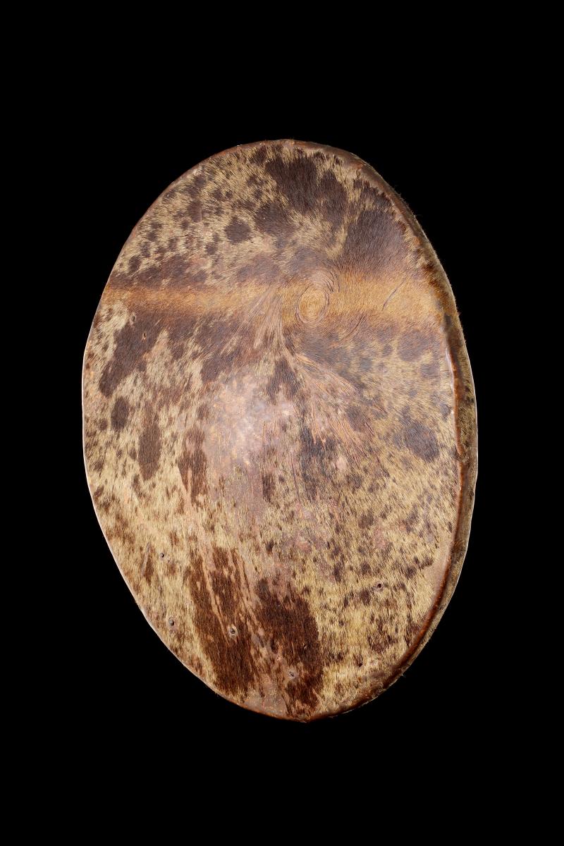 A Fine Tanala Shield Ampinga