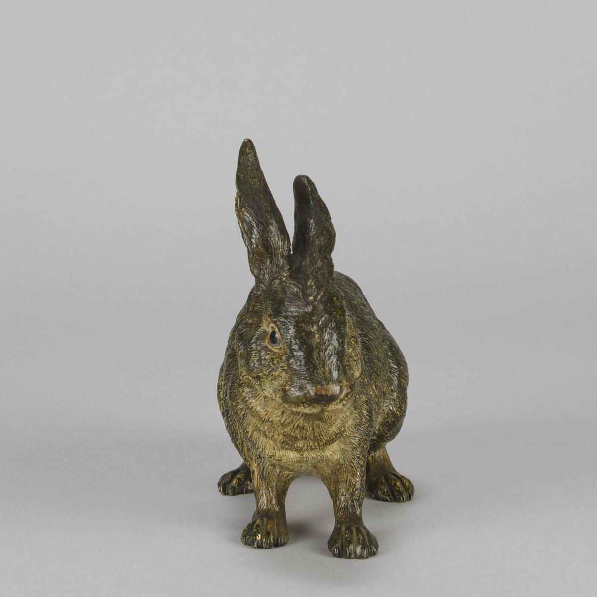 Early 20th Century Austrian Cold Painted Bronze Study Entitled 'Rabbit' by Franz Bergman 