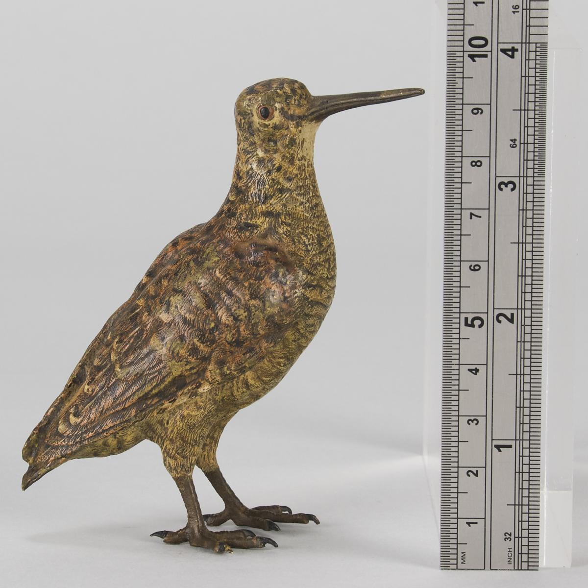 Early 20th Century Cold-Painted Bronze entitled "Woodcock" by Franz Bergman