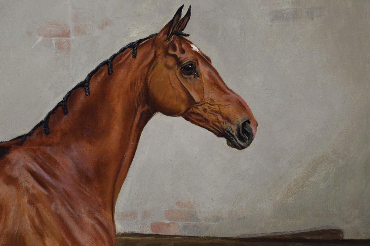 Horse portrait oil painting of a prize winning bay stallion by Henry Frederick Lucas Lucas