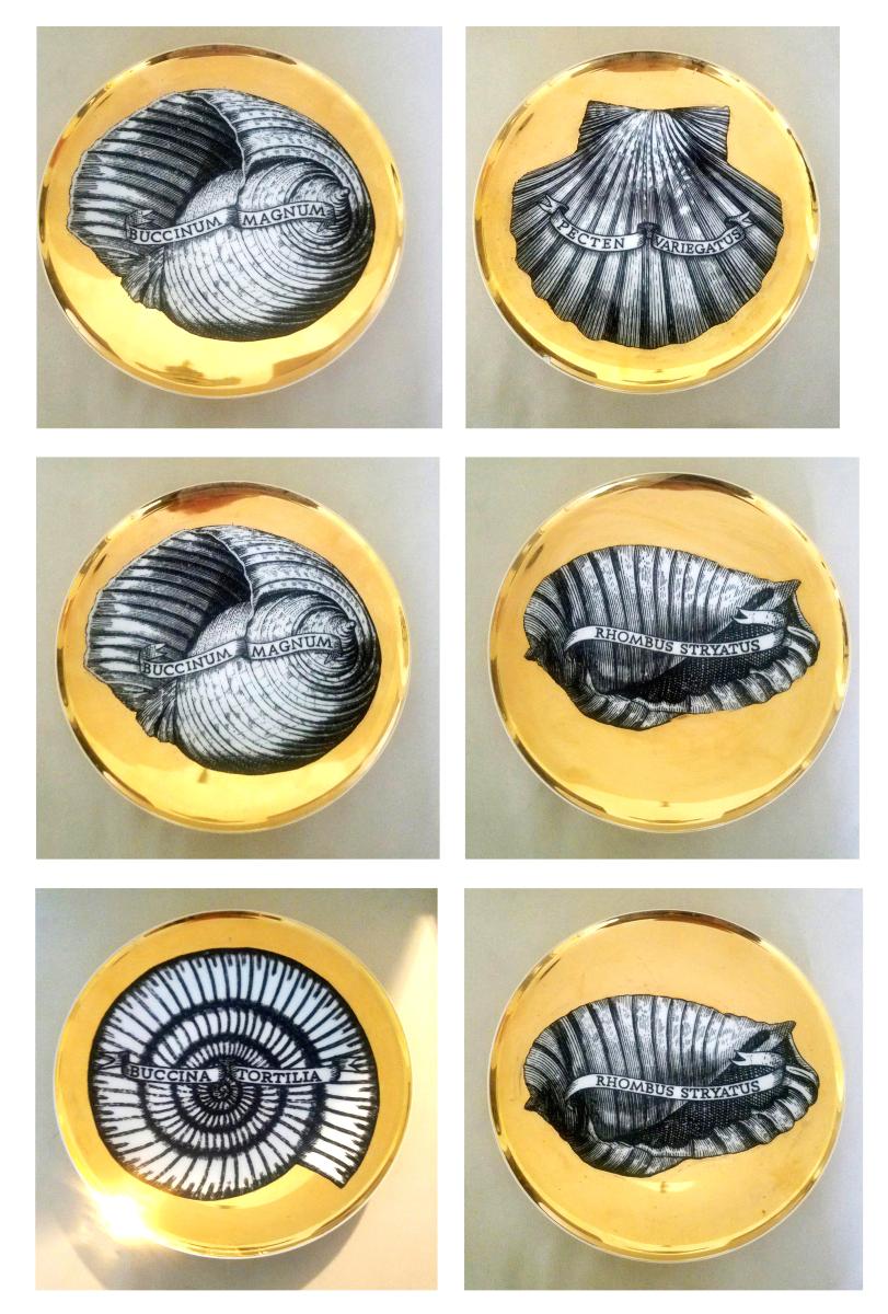 Piero Fornasetti Porcelain Gilt Rare Seashell Plates, Conchyliorum Pattern, Set of Six Plates 1950s