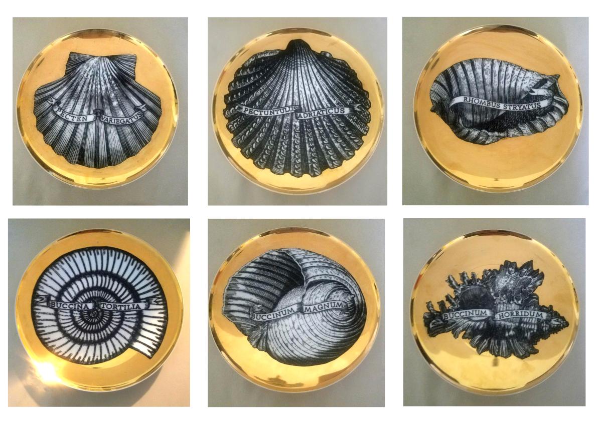 Piero Fornasetti Porcelain Gilt Rare Seashell Plates, Conchyliorum Pattern, Set of Six Plates 1950s