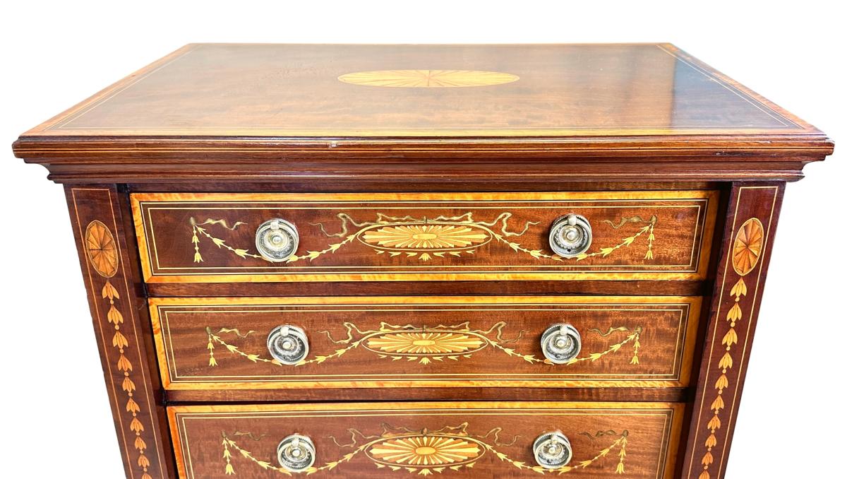 19th Century Mahogany & Satinwood Wellington Chest Of Drawers