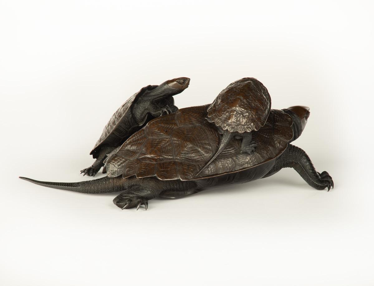 Large Japanese Bronze and Shakudo Okimono Turtles - Jomi Eisuke