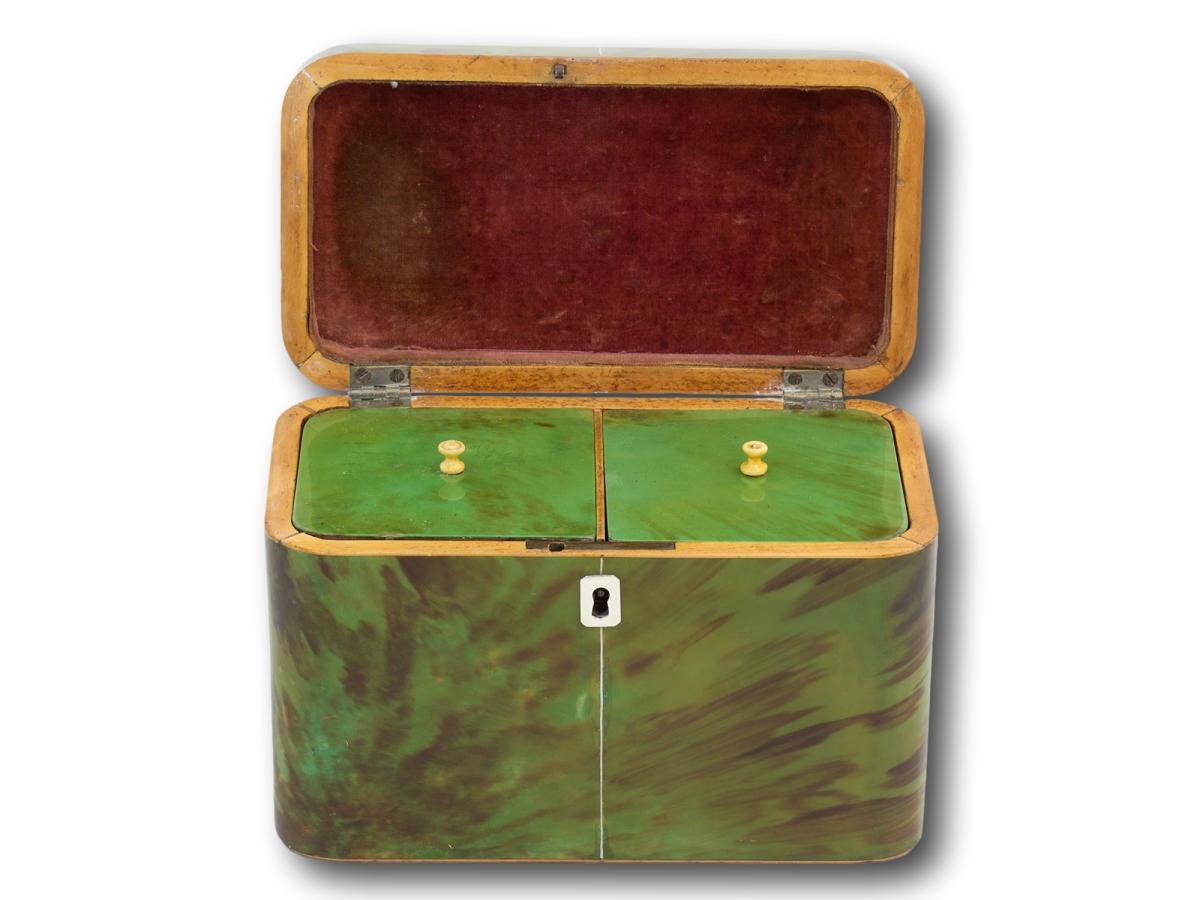 Overview of the Green Tortoiseshell Tea Caddy with the lid up