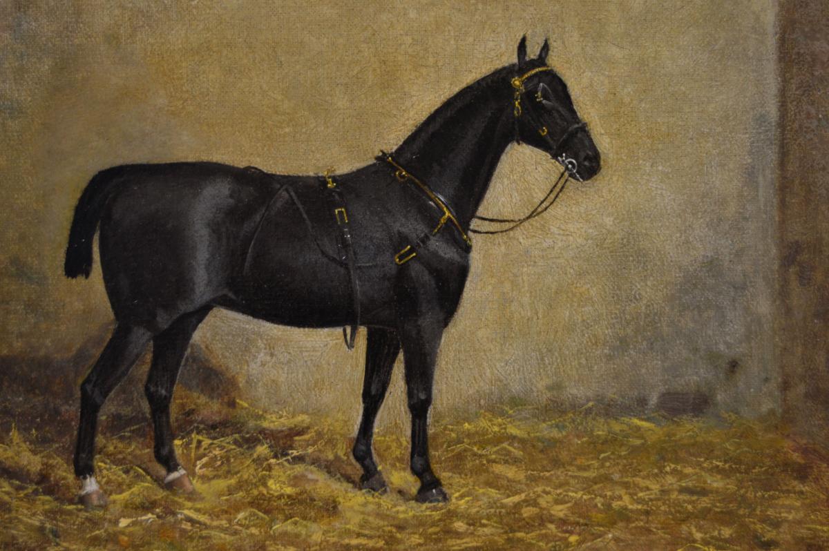 Sporting horse portrait oil painting of a hackney mare by James Albert Clark