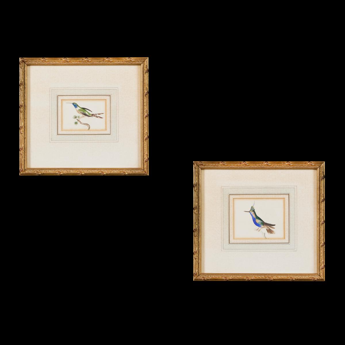 Pair Of 19th Century Bird Watercolours