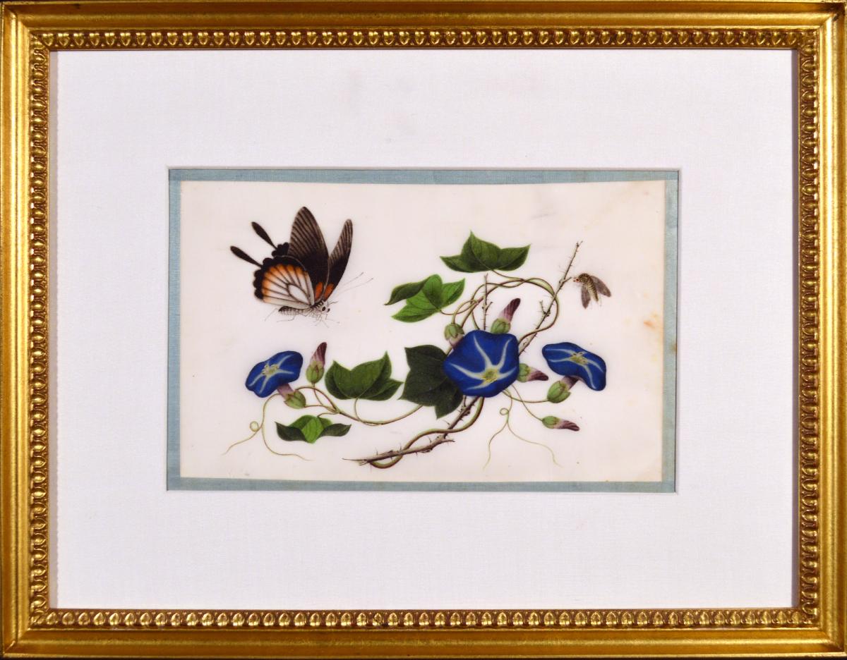 Chinese Watercolours of Flowers and Butterflies on Pith Pape