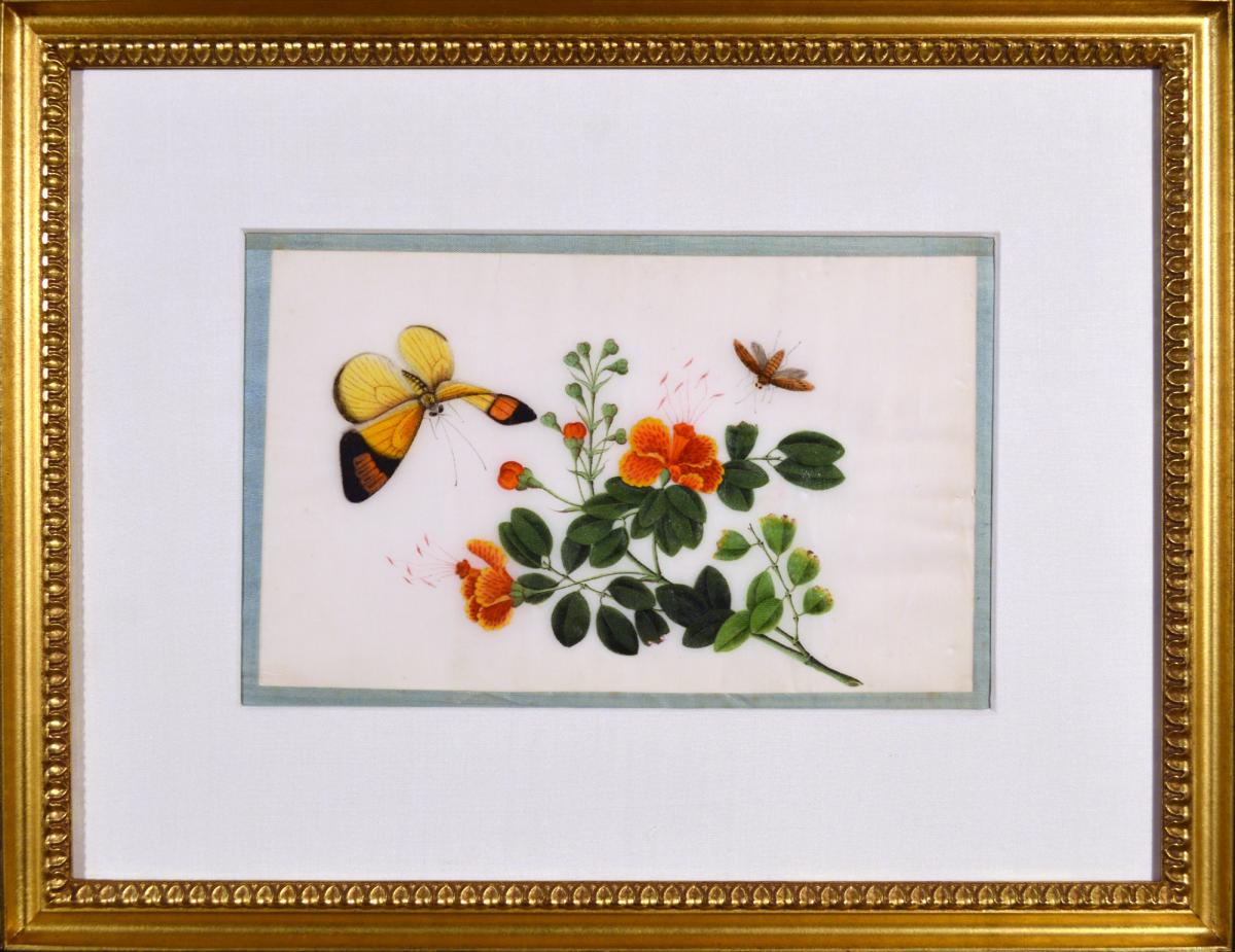 Chinese Watercolours of Flowers and Butterflies on Pith Pape