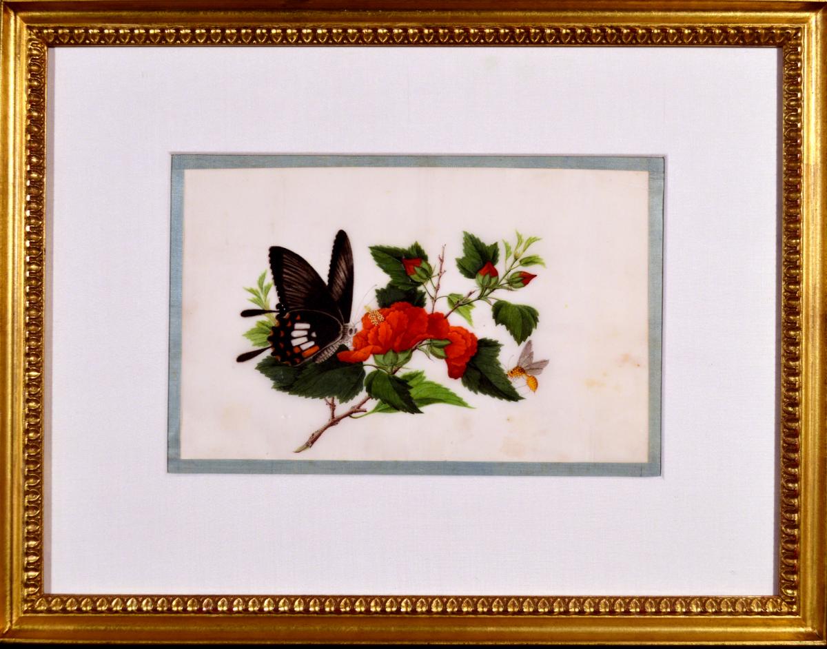 Chinese Watercolours of Flowers and Butterflies on Pith Paper, Set of Eight, Circa 1840-60.