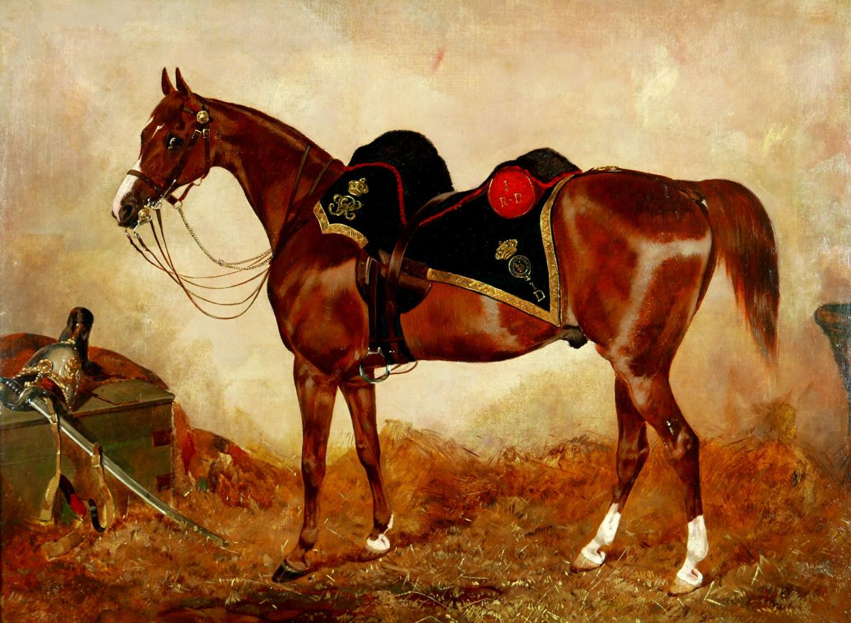 1st (Royal) Dragoons - A Heavy Cavalry Officer’s Charger, 1855-65