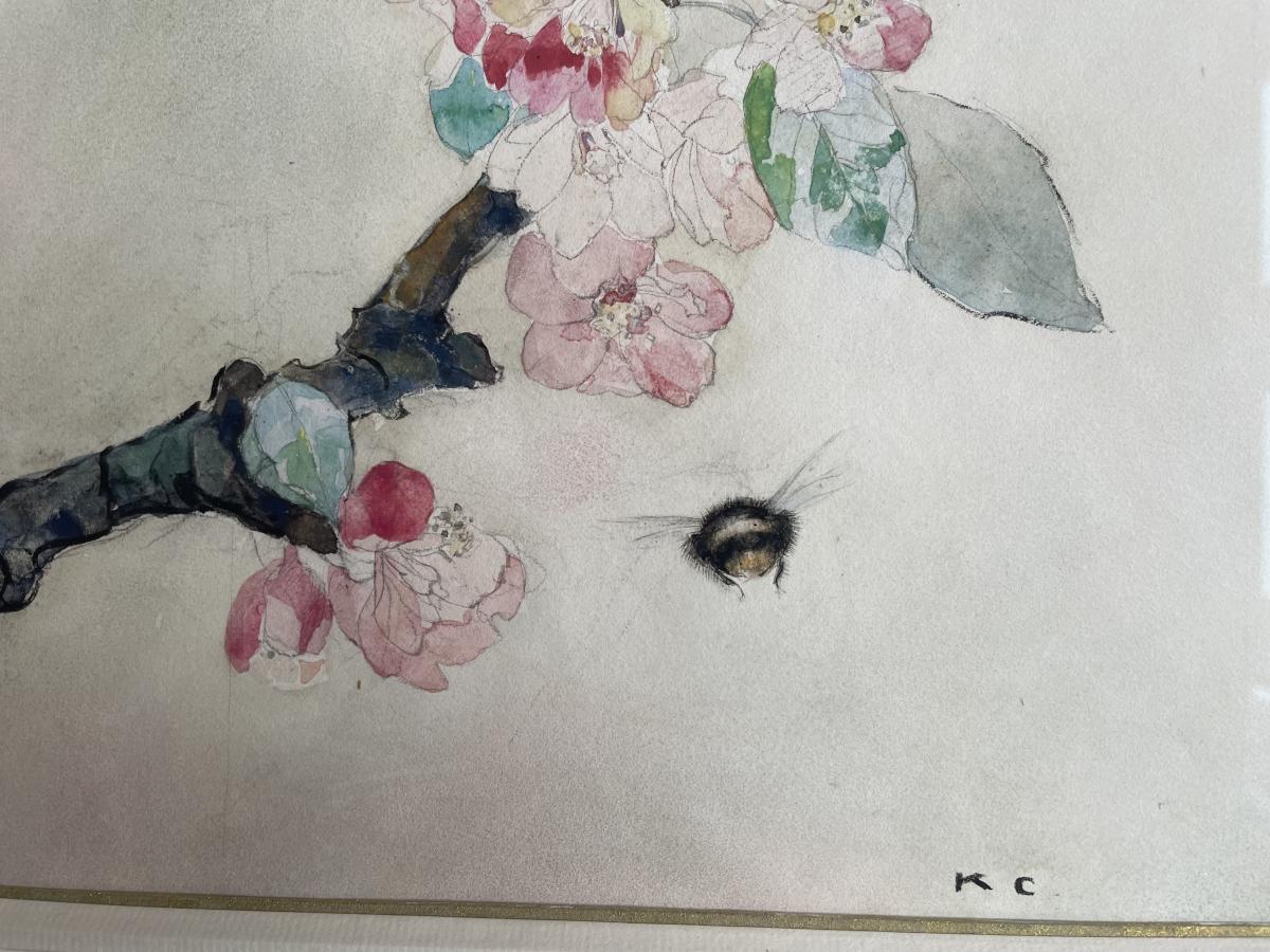 Katharine Cameron - Bee and Apple Blossom - Scottish watercolour