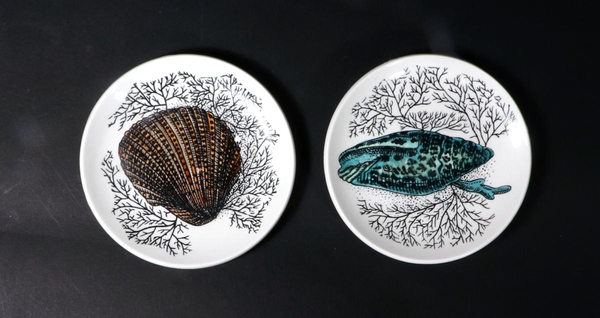 Mid-century Modern Ceramic Coasters decorated with Sea Shells, Possibly Bucciarelli, 1960s.