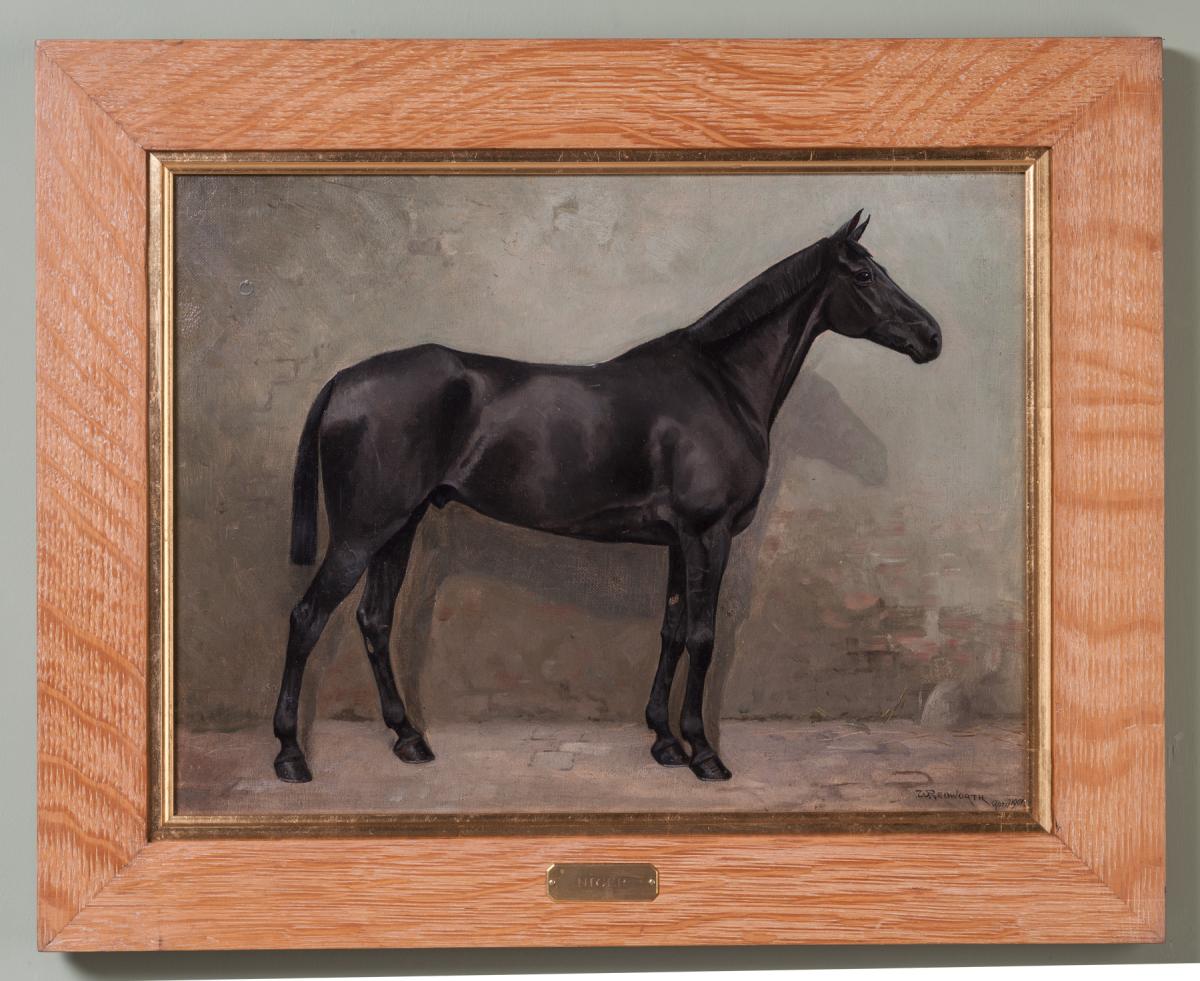 Portraits of the Four Horses of Walter Waring Esq.