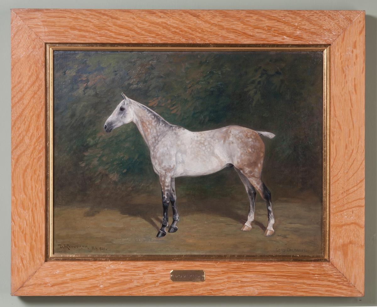 Portraits of the Four Horses of Walter Waring Esq.