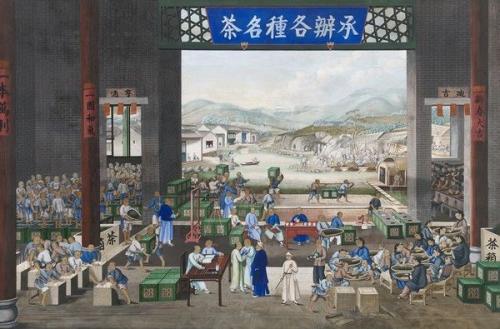 A Rare Chinese 'Tea Production' Painting, Tingqua, Guan Lianchang (1809 - 1870)